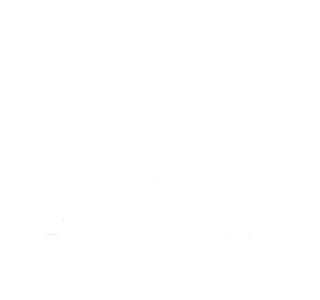 Longview Systems